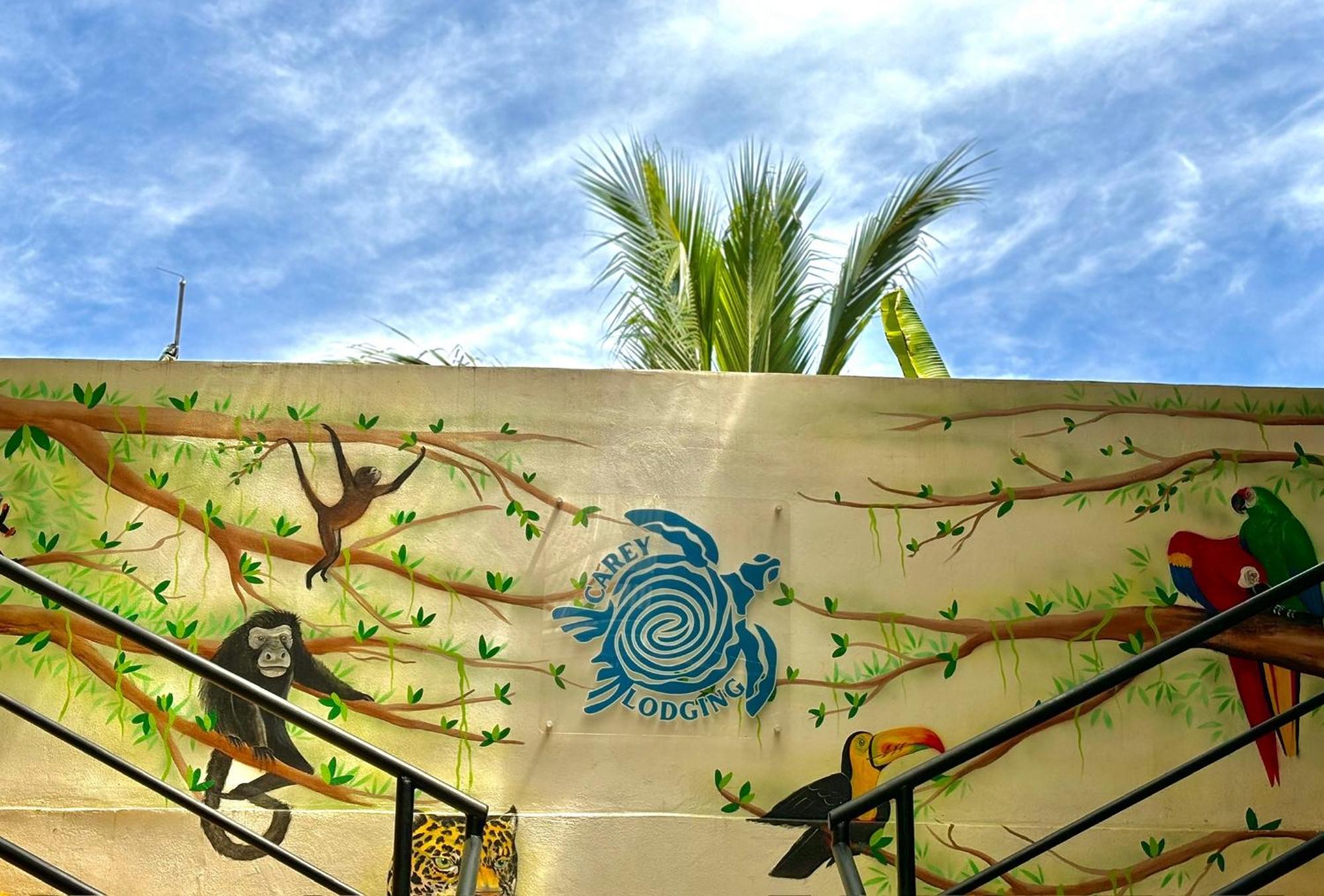 Carey Lodging Tortuguero Exterior photo