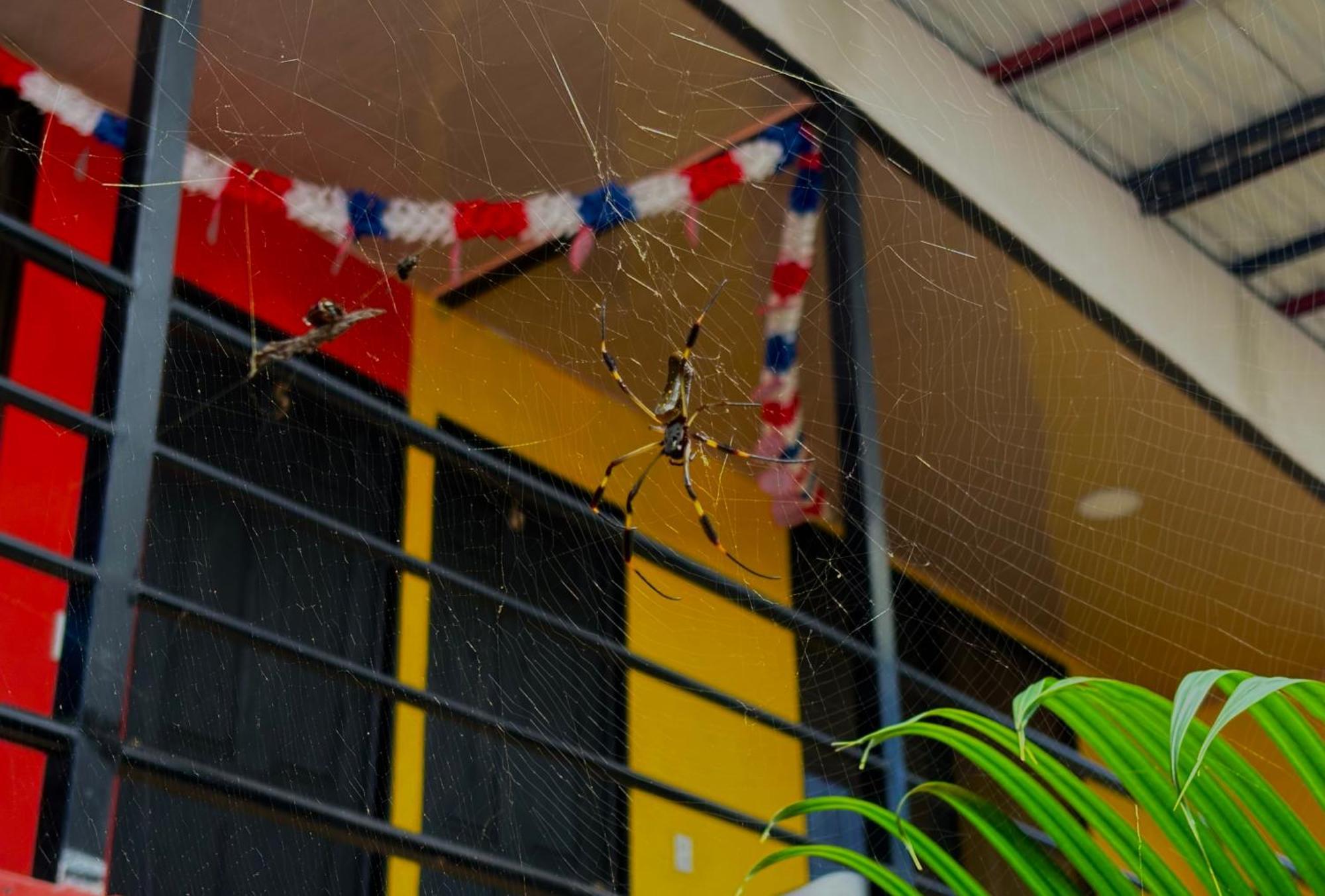 Carey Lodging Tortuguero Exterior photo